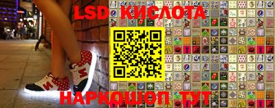 сатива Славгород