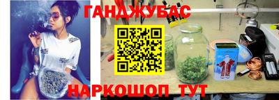 сатива Славгород
