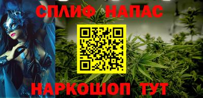 сатива Славгород