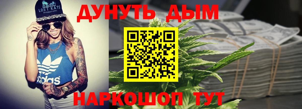 Конопля сатива Обь